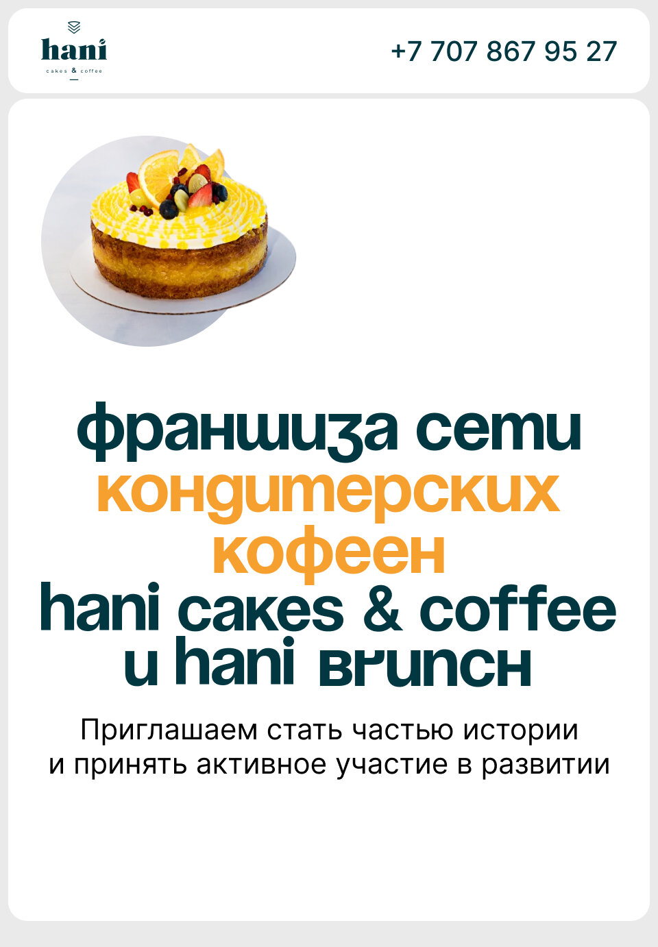 Франшиза Hani - визуальный материал 1